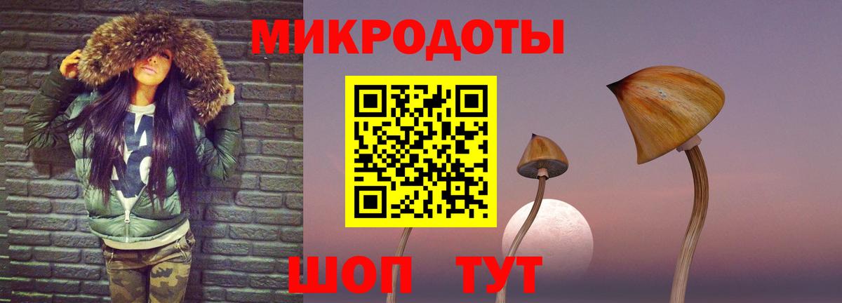 Галлюциногенные грибы Cubensis  Вход с VPN  Новокубанск 